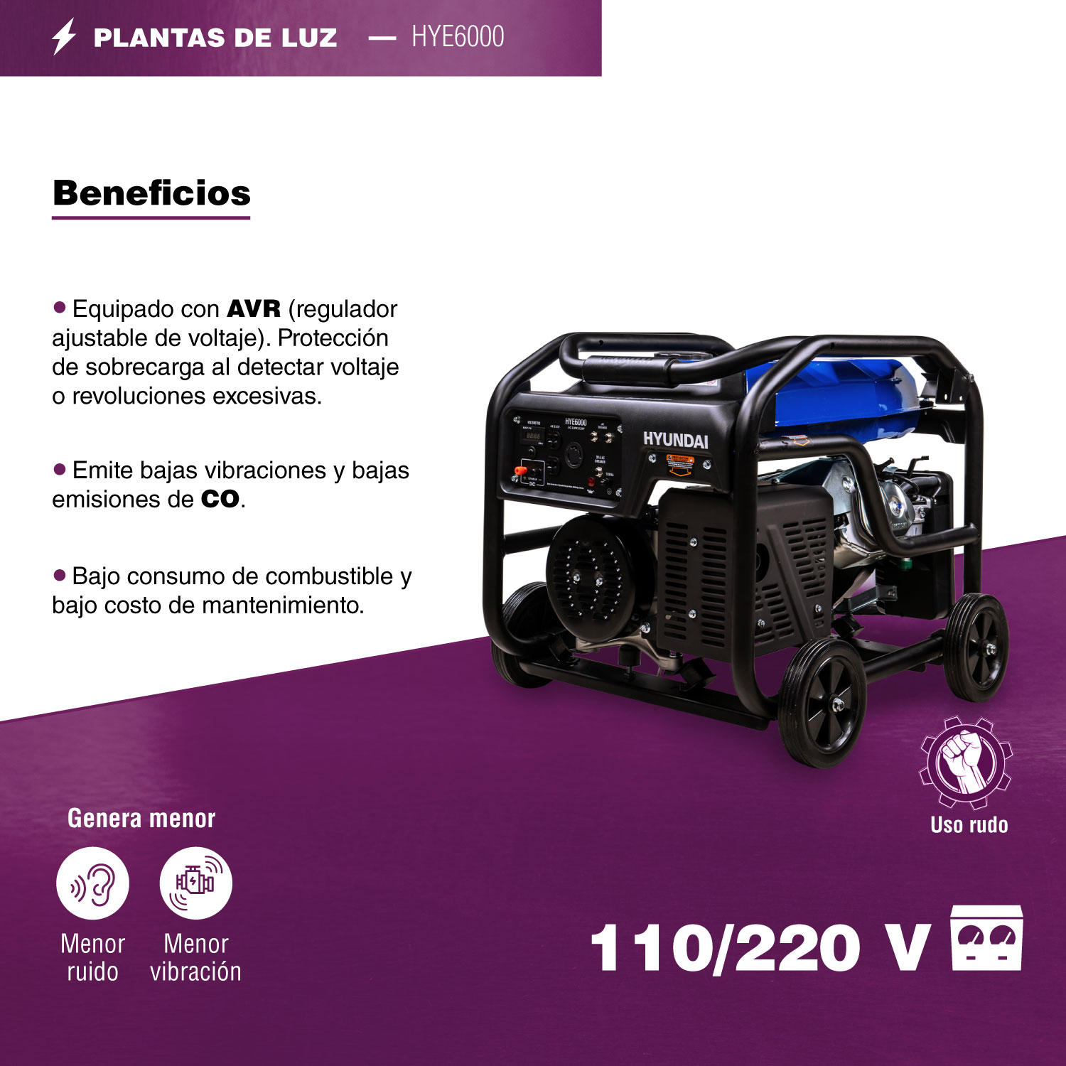 GENERADOR PROFESIONAL HYUNDAI 6000W C/MOTOR 13.1 HP 110V/220V - HYE6000