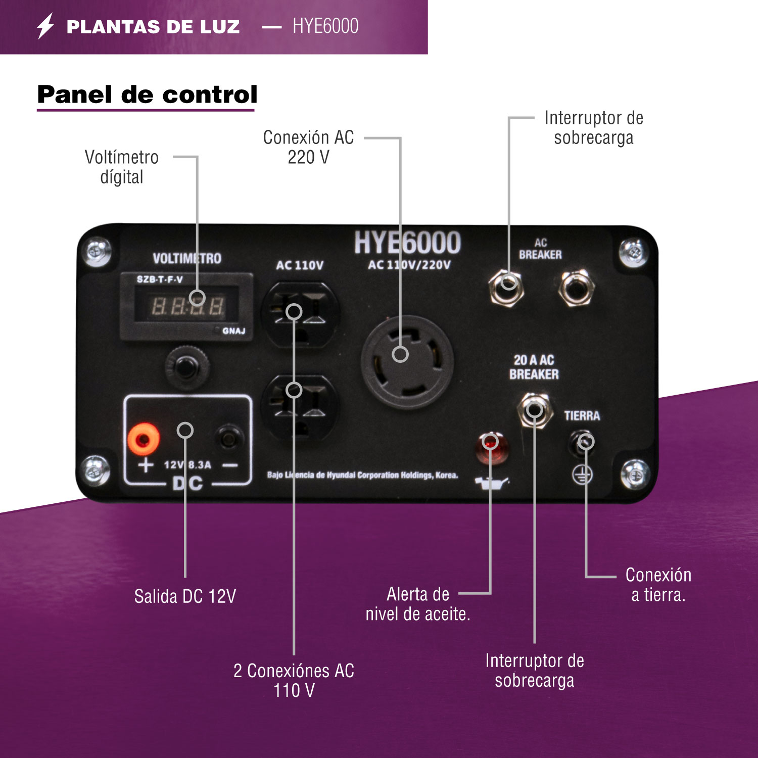 GENERADOR PROFESIONAL HYUNDAI 6000W C/MOTOR 13.1 HP 110V/220V - HYE6000