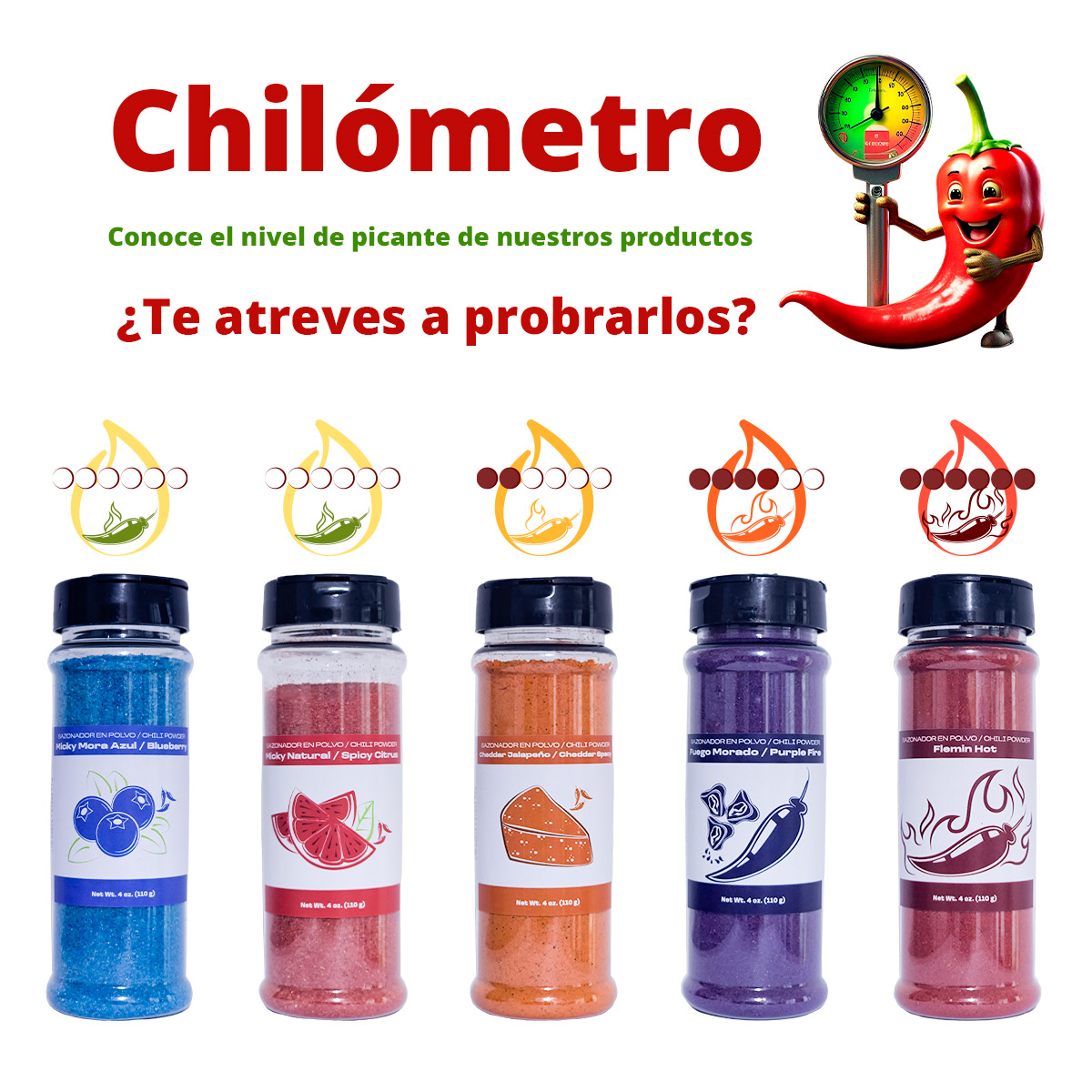 Kit de Sazonadores en polvo para botanas y alimentos