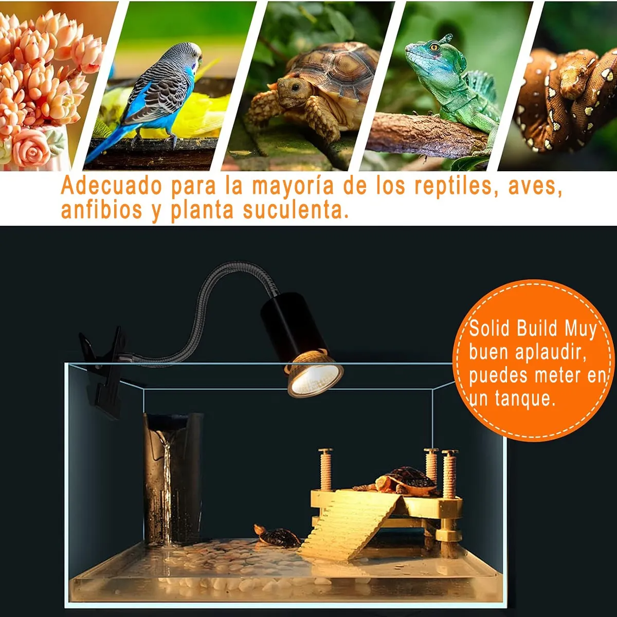 Lámparas De Calor Para Tortuga Reptiles 2 Bombillas Uva+uvb
