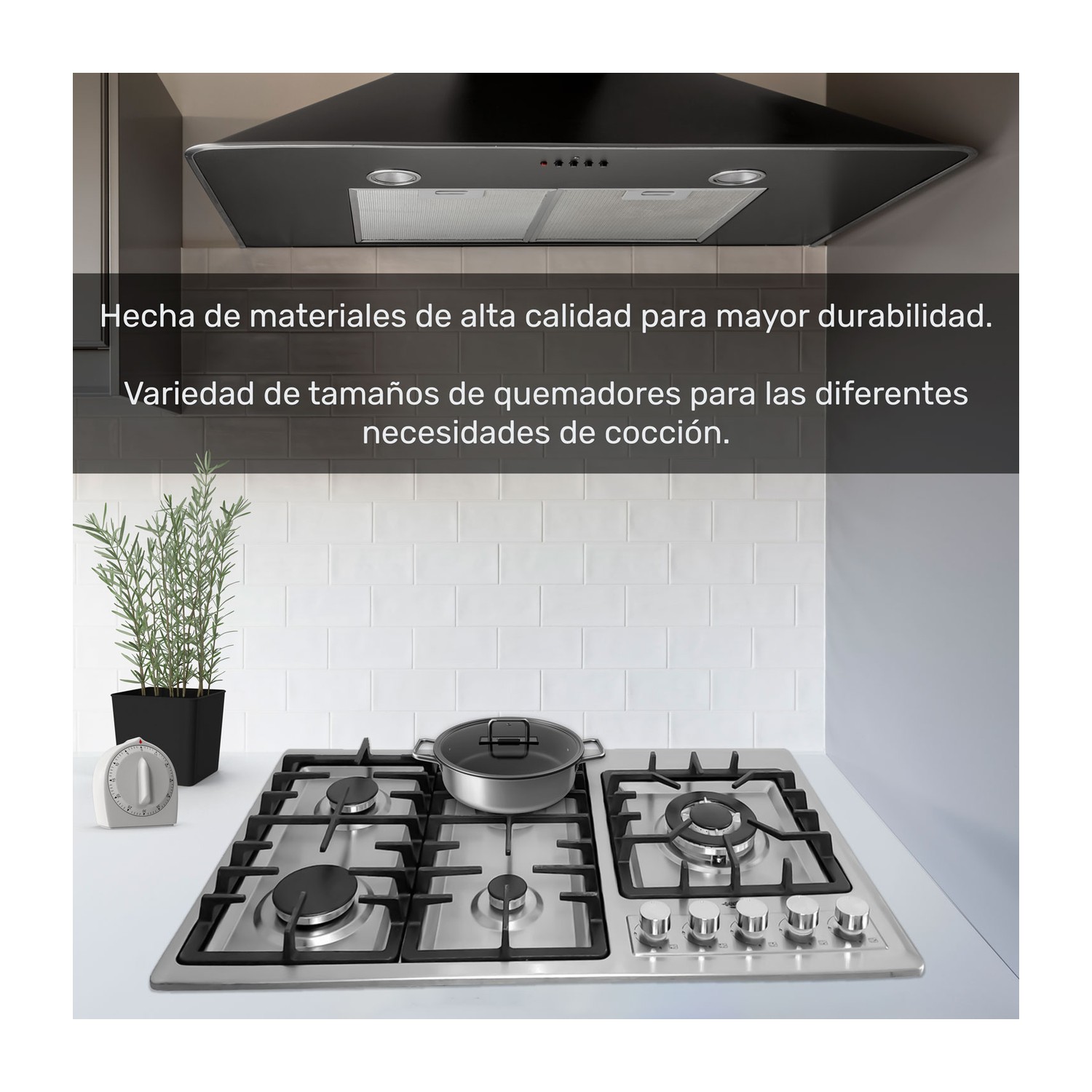 Parrilla de Gas 5 Quemadores Acero Inoxidable Empotrable Gutstark