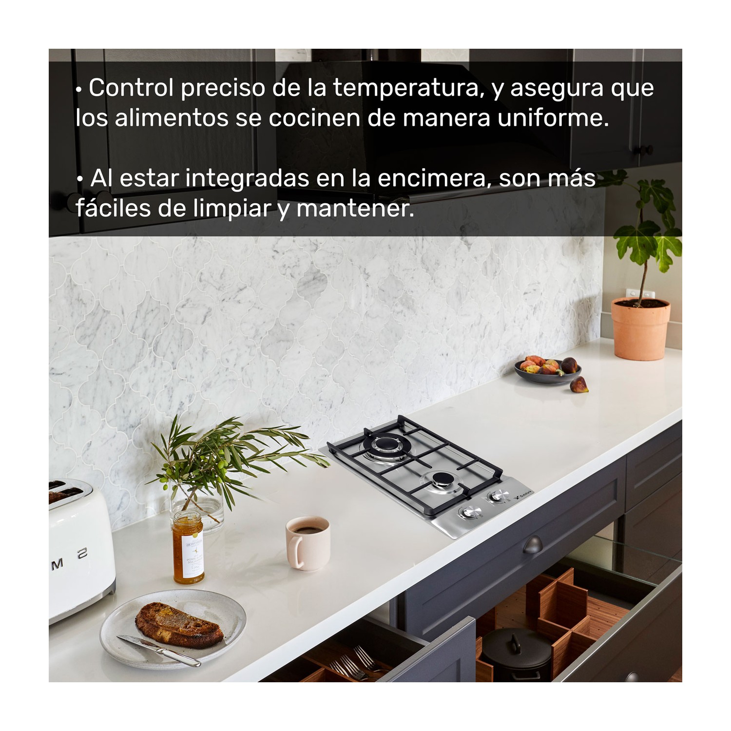 Parrilla De Gas Empotrable 2 Quemadores Acero Inoxidable