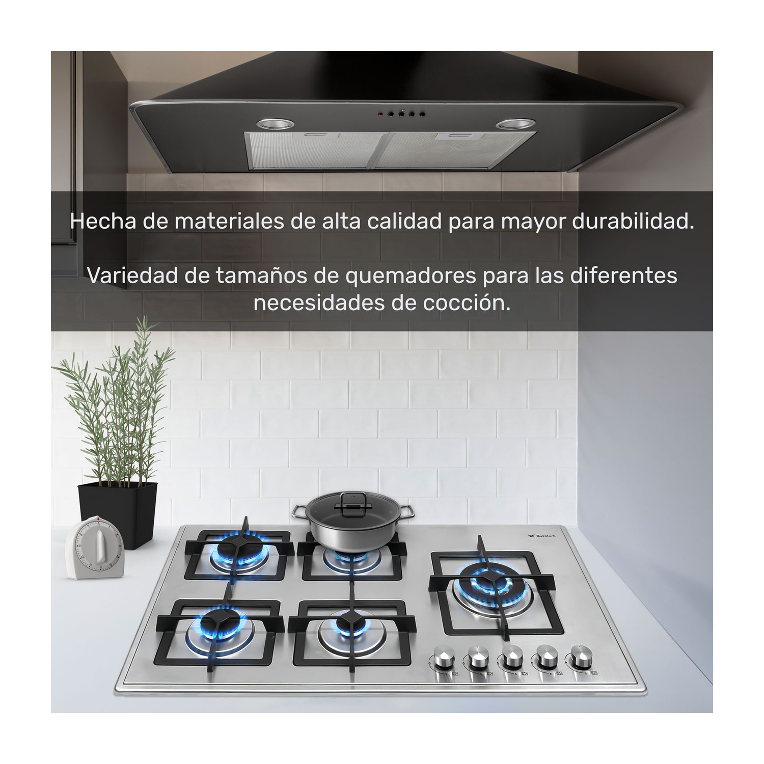 Parrilla 5 Quemadores Acero Inoxidable