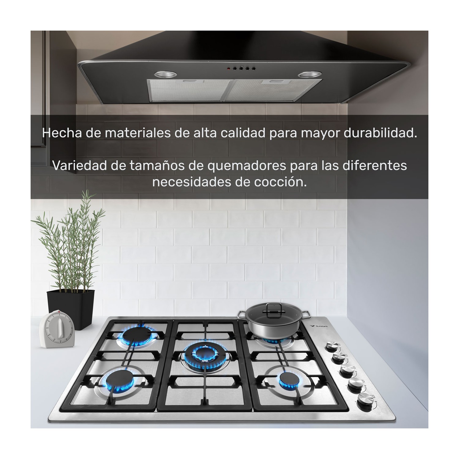 Parrilla 5 Quemadores Acero Inoxidable 