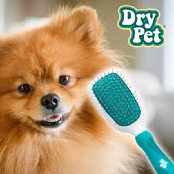 Cepillo Combinado Gde - Dry Pet
