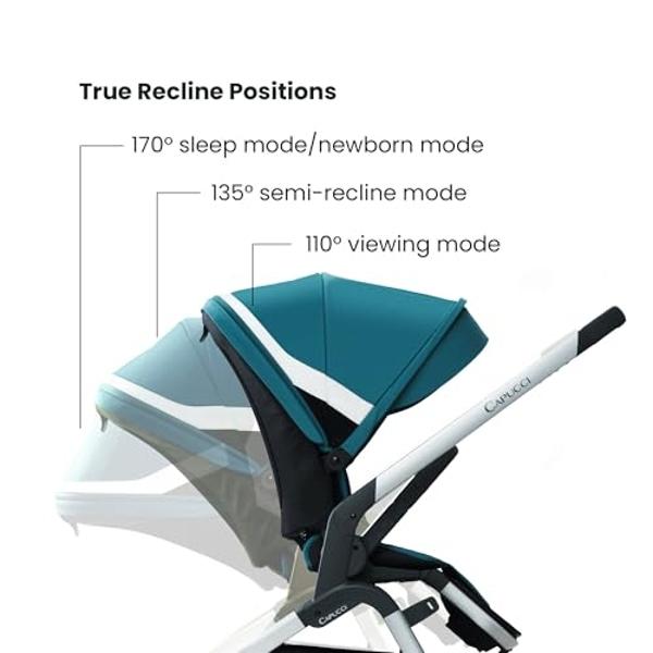Thule Urban Glide 2 Jogging Stroller, Black/Silver Frame, Double