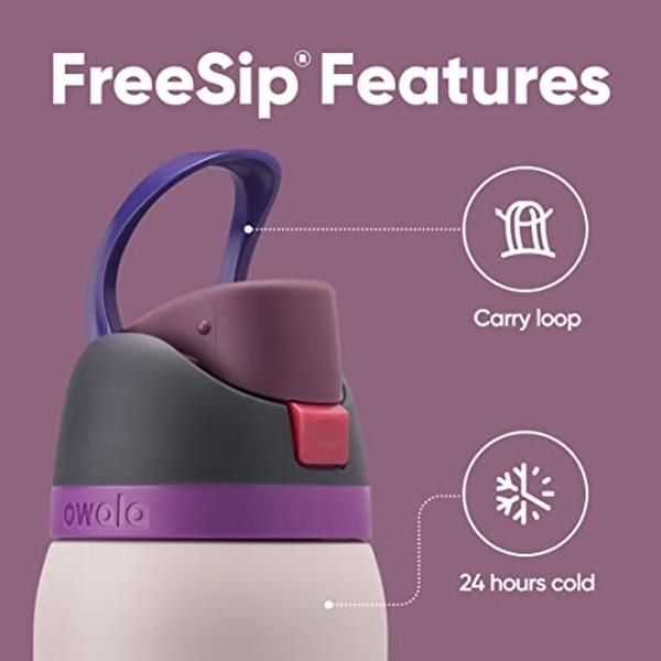 Owala FreeSip Insulated Stainless Steel Water Bottle with Straw for Sports, Travel, and School BPA-Free Sports Water Bottle, 24 oz, Dreamy Field