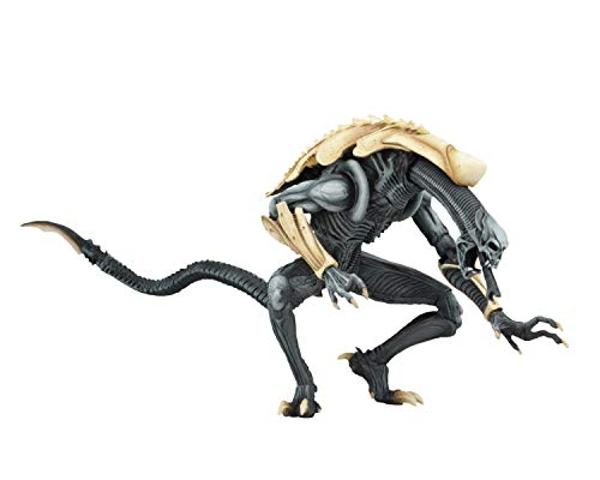 NECA - Aliens vs Predator (Arcade Appearance) - 7" Scale Action Figures - Chrysalis