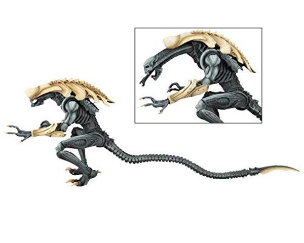 NECA - Aliens vs Predator (Arcade Appearance) - 7" Scale Action Figures - Chrysalis