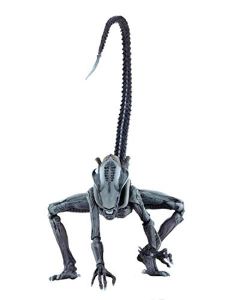 NECA - Aliens - Xenomorph Queen Ultra Deluxe Boxed Action Figure