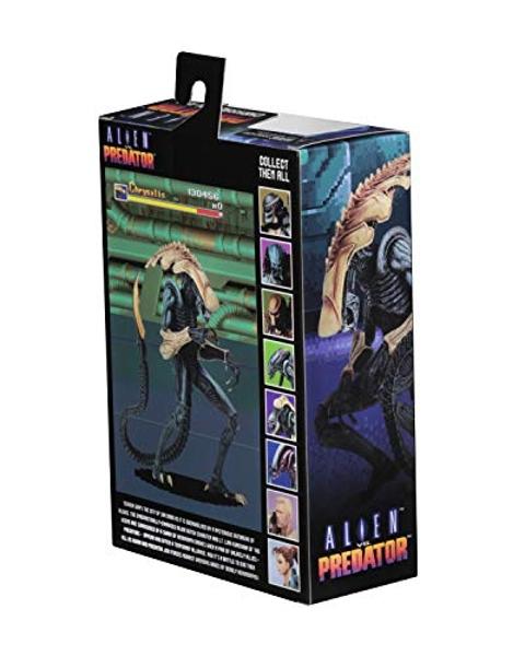NECA - Aliens vs Predator (Arcade Appearance) - 7" Scale Action Figures - Chrysalis
