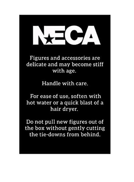 NECA Collectible Wednesday Series 6” Scale Toony Terrors Figure - Wednesday Addams in Classic Dress