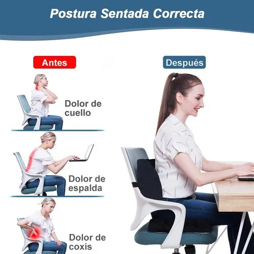 Cojin Soporte Lumbar Almohada Respaldo Sillas Auto Oficina