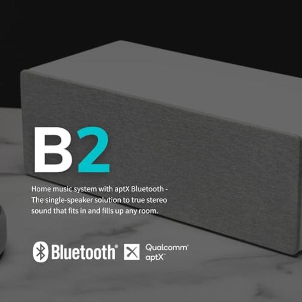 Audioengine All in One A2+ (B2) Portable Wireless Speaker - Audio with Lossless aptX Bluetooth and Analog Audio Input for Phone, Tablet, and Computers