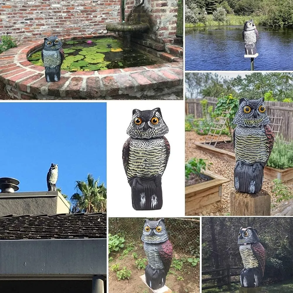 Búho Espantapájaros Con Cabeza Móvil Estatua De Búho