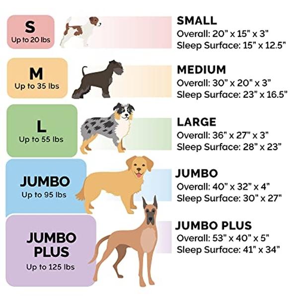 PawHut Luxury Fancy Dog Couch with Hidden Storage, Small Dog Sofa Bed with 2" Soft Foam, Modern Pet Furniture for Puppies & Little Breeds, Brown
