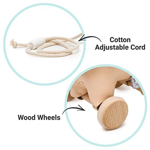 Owlet® Dream Duo Smart Baby Monitor: FDA-Cleared Dream Sock® plus Owlet Cam 2- Tracks & Notifies for Pulse Rate & Oxygen while viewing Baby in 1080p HD WiFi Video