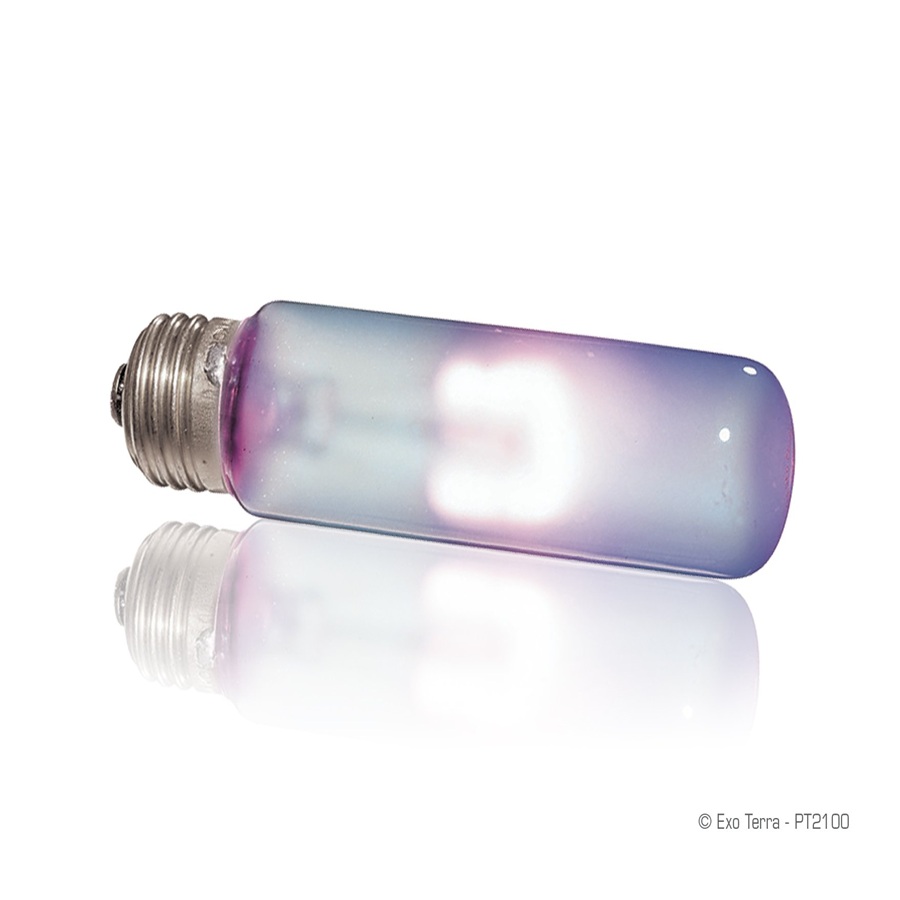 Foco Sun Glo Exo-Terra 15w - Hagen