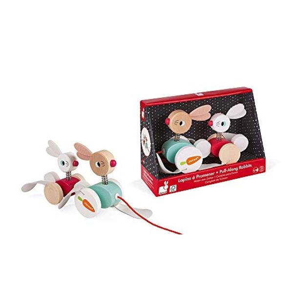 Hape Walk-A-Long Snail Pull Toy |Award Winning Toddler Wooden Push and Pull Toy with Removable Color