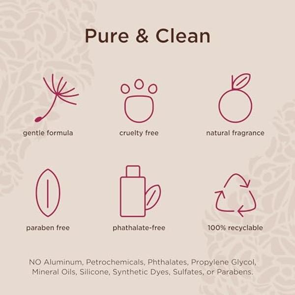 Lavanila Pure Vanilla Travel Size Roller Perfume for Women, 0.32 Oz - Pure Madagascar Vanilla & Creamy Tonka Bean, The Healthy Fragrance, Clean and Natural