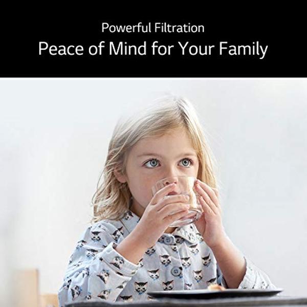 everydrop by Whirlpool Ice and Water Refrigerator Filter 1, EDR1RXD1, Single-Pack , Purple