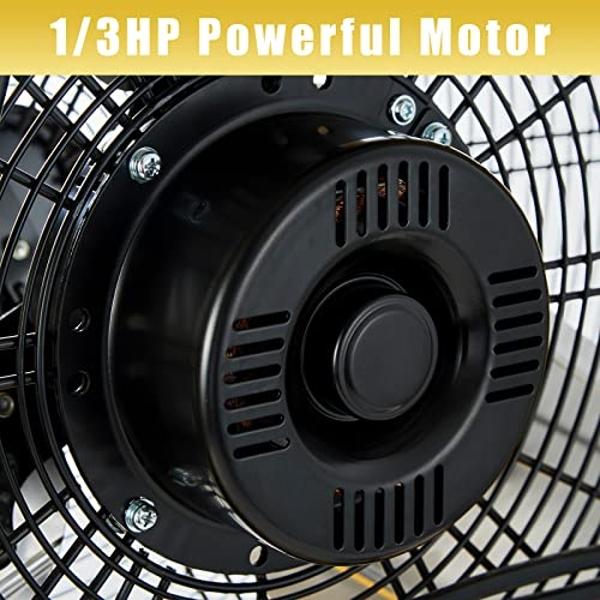 Vornado EXO51 Small Heavy Duty Air Circulator, 3-Speed High Velocity Shop Fan, Dustproof and Water-Resistant Powerful Motor, Industrial High Impact Case, Green