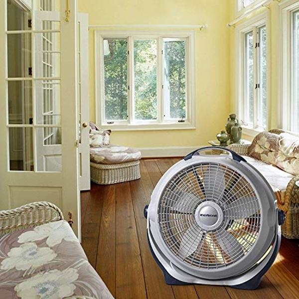 DEWALT DXF3080 High-Velocity 30" Industrial Drum Fan, 8000CFM, Heavy Duty Metal Fan for Floor, Barn, Warehouse