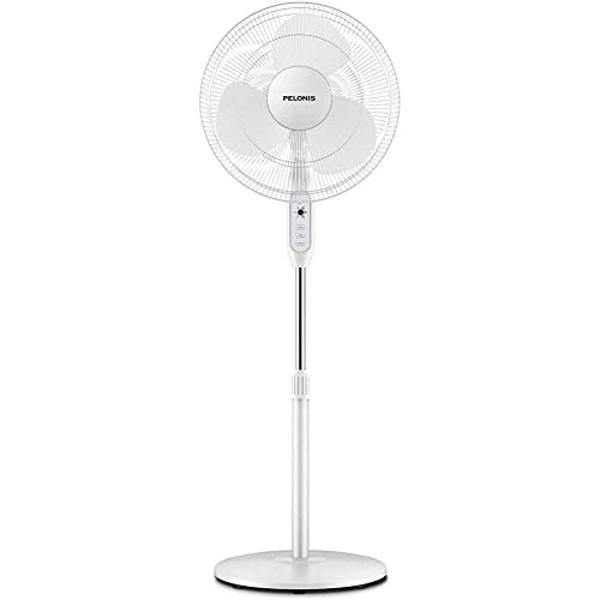 PURAERO Low Profile Air Mover Carpet Dryer Blower Floor Fan | 1/4 HP 1,100 CFM | for Crawlspaces, Attics, Basements, Bathrooms| Water Damage Restoration, Grow Rooms | PA-250-LP | B