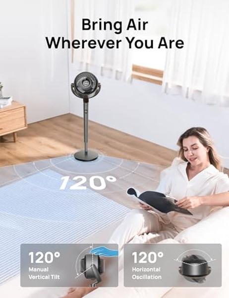 PURAERO Low Profile Air Mover Carpet Dryer Blower Floor Fan | 1/4 HP 1,100 CFM | for Crawlspaces, Attics, Basements, Bathrooms| Water Damage Restoration, Grow Rooms | PA-250-LP | B