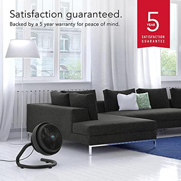 Vornado 723 Full-Size Whole Room Air Circulator Fan,Black,Large