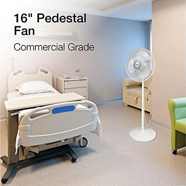 Air King 9126 16-Inch Adjustable Oscillating Pedestal Fan