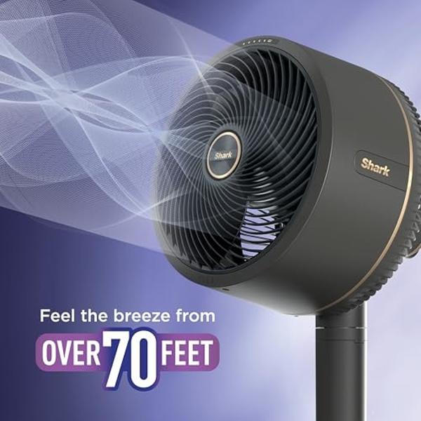 Shark FlexBreeze - Indoor & Outdoor Fan, Corded and Cordless, 2-in-1 Oscillating Pedestal and Tabletop, Up to 24-Hr Battery, FA202