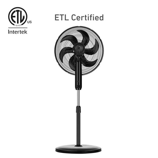 HOLMES BIG BREEZE 16" Stand Fan, Powerful Airflow, 80° Oscillation, 3 Speeds, 6 Blades, Adjustable Height, 30° Head Tilt, Ideal for Home, Bedroom, Gym or Office, Black