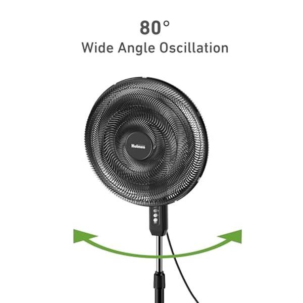 HOLMES BIG BREEZE 16" Stand Fan, Powerful Airflow, 80° Oscillation, 3 Speeds, 6 Blades, Adjustable Height, 30° Head Tilt, Ideal for Home, Bedroom, Gym or Office, Black