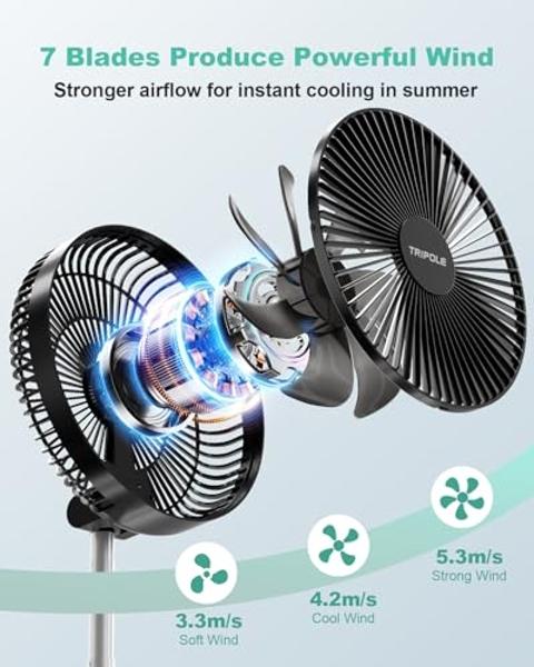 Tornado 24 Inch High Velocity Pedestal Fan for Commercial & Industrial Use - 3 Speed Settings, 7600 CFM, UL Listed, 6.6 FT Cord