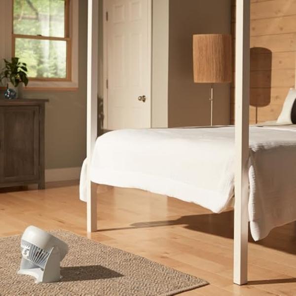 Honeywell HT-904 TurboForce Tabletop Air Circulator Fan, Small, White – Quiet Personal Fan for Home or Office, 3 Speeds and 90 Degree Pivoting Head