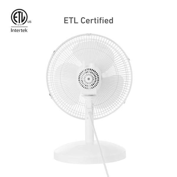 HOLMES 12" Table Fan, 75° Oscillation, 3 Speeds, 15° Adjustable Head Tilt, Ideal for Home, Bedroom or Office, White