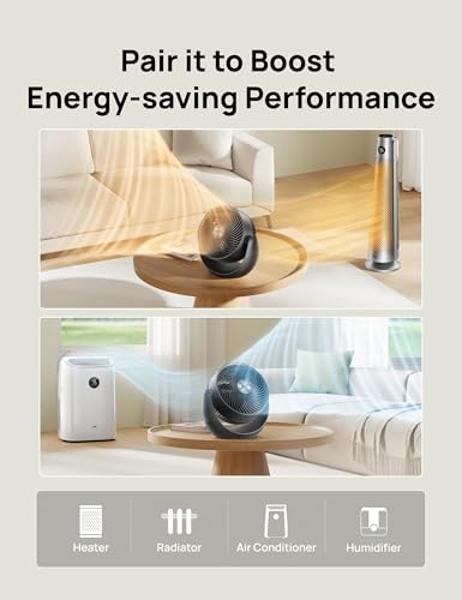 Honeywell HT-904 TurboForce Tabletop Air Circulator Fan, Small, White – Quiet Personal Fan for Home or Office, 3 Speeds and 90 Degree Pivoting Head