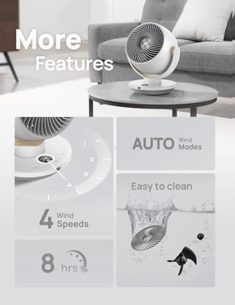 HOLMES 12" Table Fan, 75° Oscillation, 3 Speeds, 15° Adjustable Head Tilt, Ideal for Home, Bedroom or Office, Black