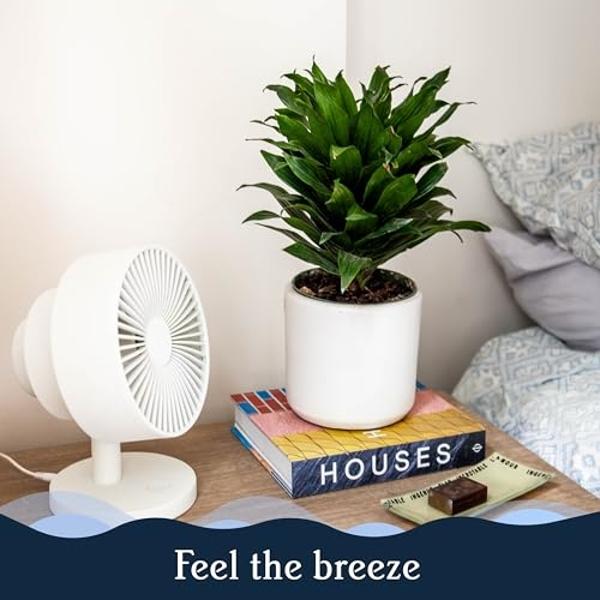 Windmill NEW to Amazon Smart Air Circulator and Fan with Remote and Wi-Fi/App - 18 dB Whisper-Quiet plus Tri-Layer Airflow - Pink Color
