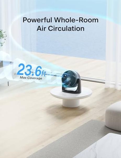 PELONIS 3 Speed Small Room Air Circulator Fan with 7-inch Blade, Table Fan with 100° Adjustable Head Tilt - Desktop Fan for Bedroom,Dorm and Office - Ventilador for Air Conditioner