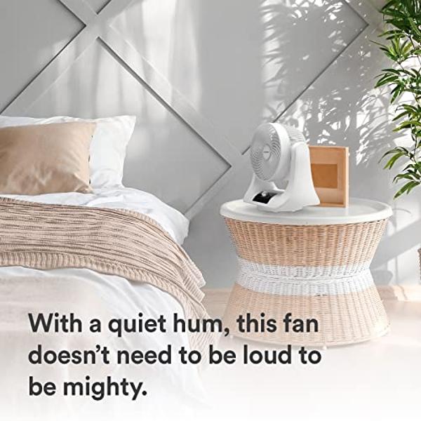 Everdure 9” Oscillating Desk or Table Fan, 3 Speed Settings, Targeted Airflow Control, Low Noise, Portable, Personal Fan, Perfect Cooling Fan for Bedroom, Living Room, Home Office,