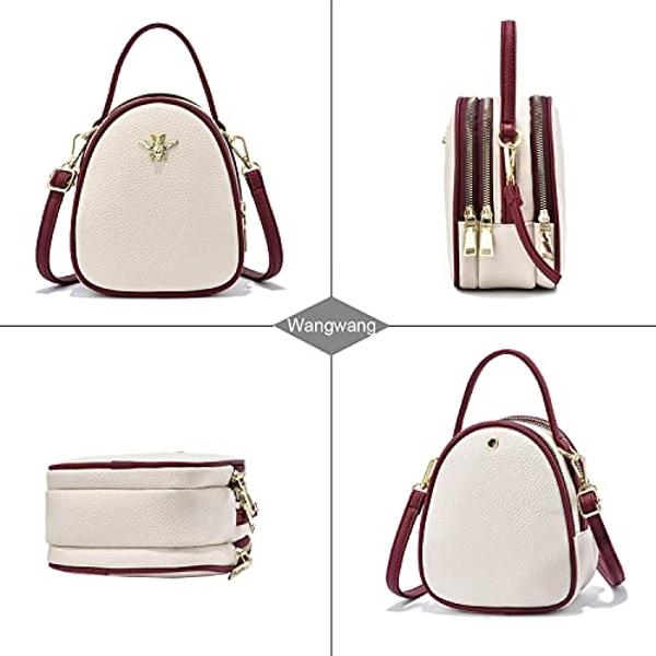 Small Crossbody Bags Shoulder Bag for Women Stylish Ladies Messenger Bags Purse and Handbags Wallet
