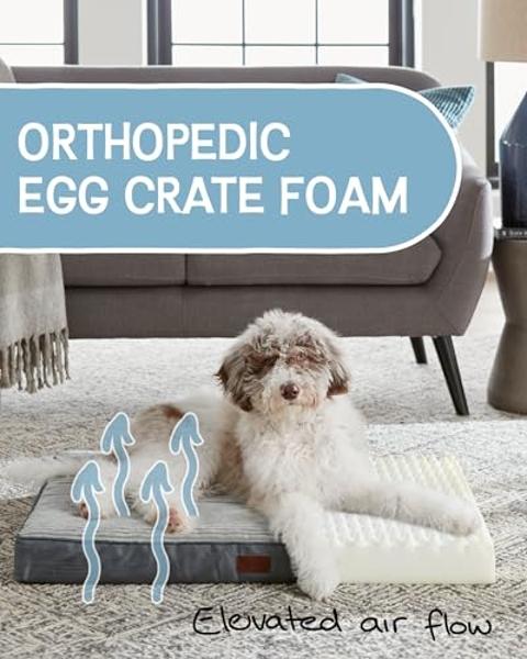 OhGeni 35 Inch Orthopedic Waterproof & Machine Washable Dog Bed for Medium Large Pets, 20D Egg Crate Foam Stable Support, Non-Slip Bottom and Removable Cover, Tear-Resistant Invisi