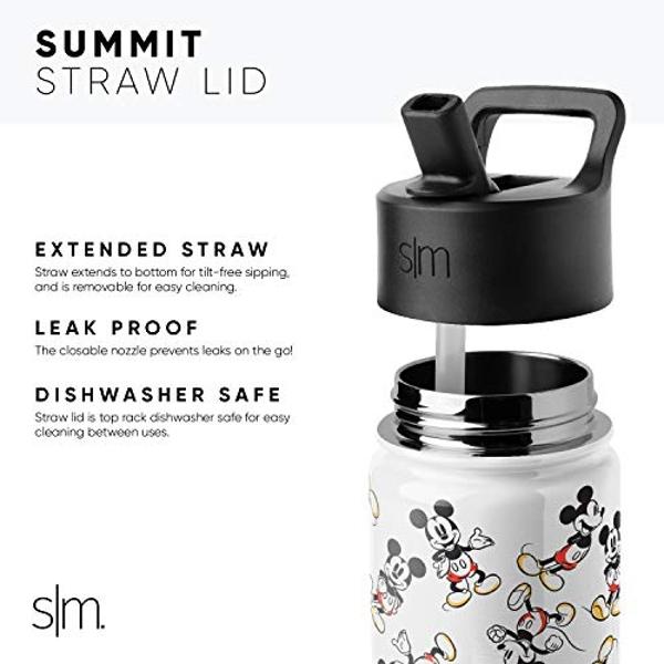 Simple Modern Kids Summit Water Bottle with Straw Lid | Marvel Spider-man 14oz Stainless Steel Cup Insulated Tumbler for Boys, School | Spidey & Friends