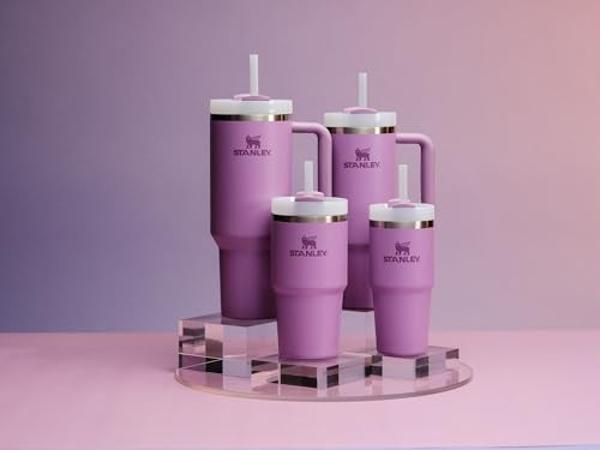 Stanley Quencher H2.0 Tumbler with Straw 14 oz | Flowstate 3-Position Lid | Cup Holder Compatible for Travel | Insulated Stainless Steel Cup | BPA-Free | Lilac