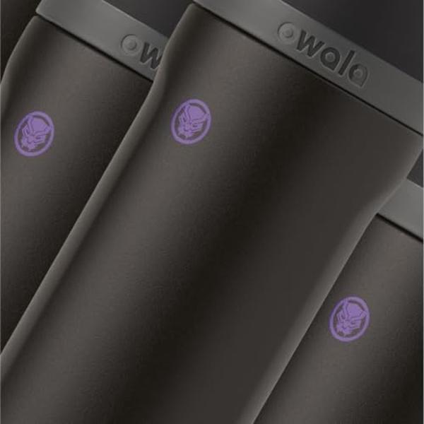Owala FreeSip Insulated Stainless Steel Water Bottle with Straw, BPA-Free Sports Water Bottle, Great for Travel, 24 Oz, Black Panther, 24oz