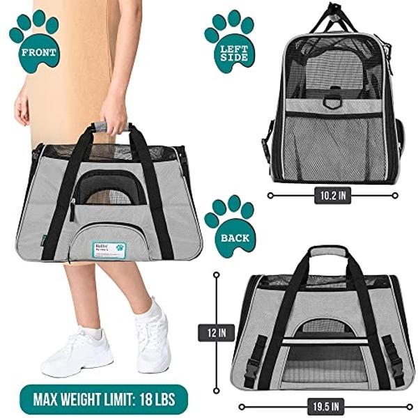 apollo walker Pet Carrier Backpack for Large/Small Cats and Dogs, Puppies, Safety Features and Cushion Back Support for Travel, Hiking, Outdoor Use (Pink)