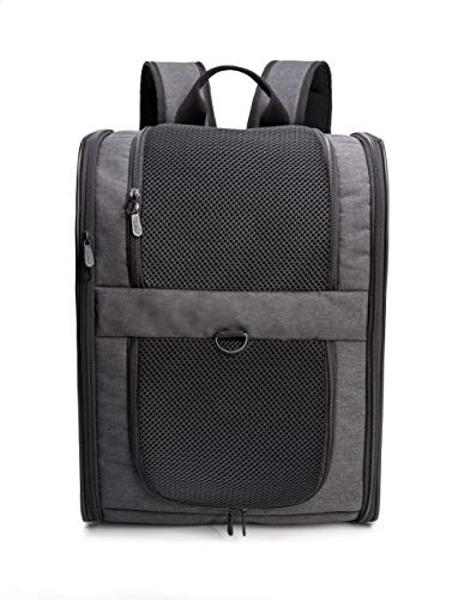 Apollo Walker Pet Carrier Backpack for Large/Small Cats and Dogs, Puppies, Safety Features and Cushion Back Support for Travel, Hiking, Outdoor Use (Black)