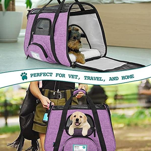 apollo walker Pet Carrier Backpack for Large/Small Cats and Dogs, Puppies, Safety Features and Cushion Back Support for Travel, Hiking, Outdoor Use (Pink)